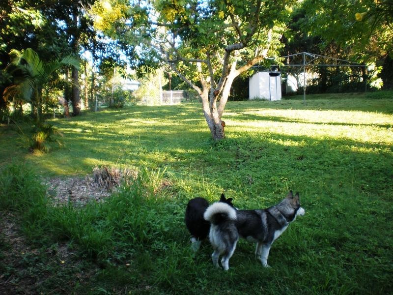 58 High Street, Lismore Heights NSW 2480