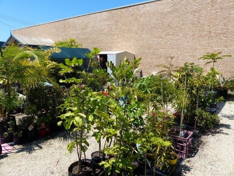 30 De Havilland Crescent, Ballina NSW 2478