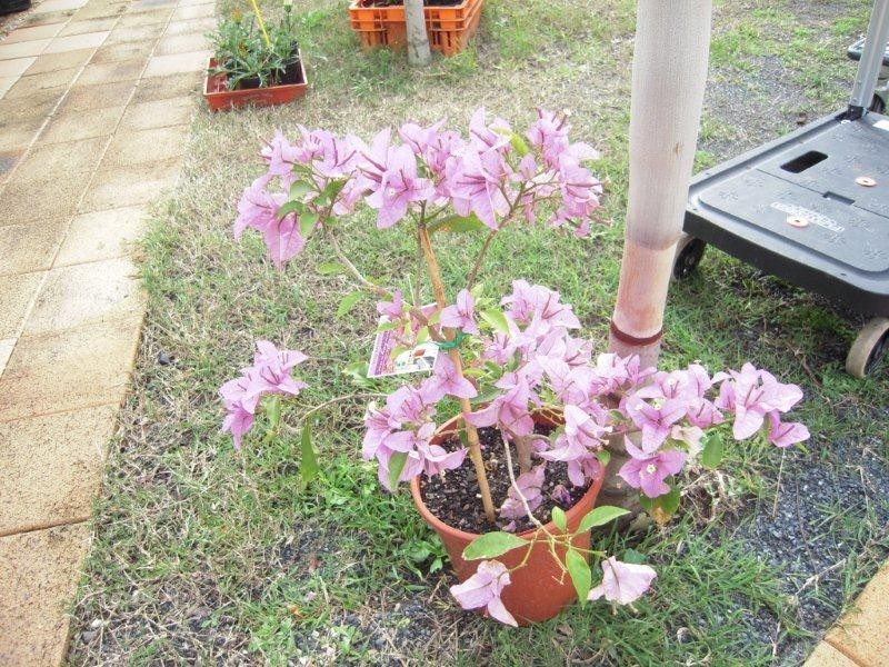 30 De Havilland Crescent, Ballina NSW 2478