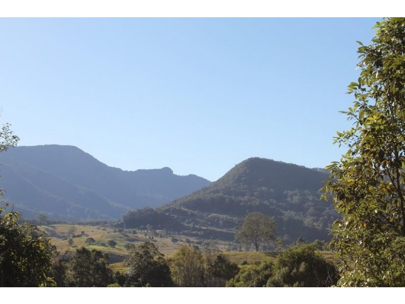 77 Basil Road, Nimbin NSW 2480