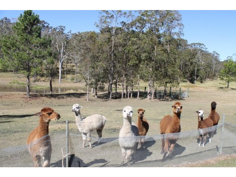 18 Te Araowa Drive, North Casino NSW 2470