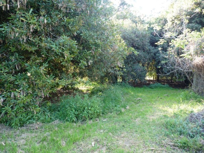 12 James Street, Dunoon NSW 2480