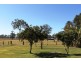20 Murphy’s Lane, Yorklea NSW 2470