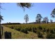 20 Murphy’s Lane, Yorklea NSW 2470