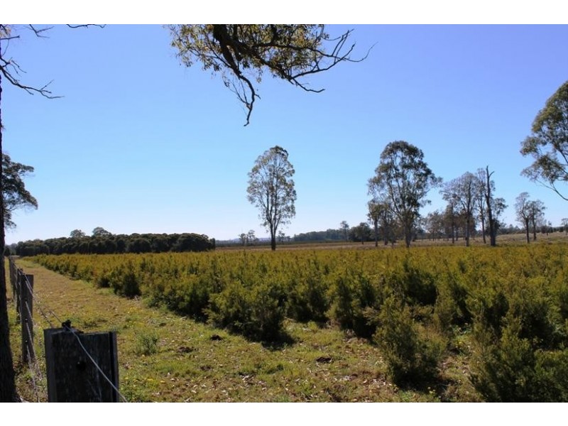 20 Murphy’s Lane, Yorklea NSW 2470
