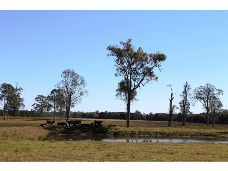 20 Murphy’s Lane, Yorklea NSW 2470