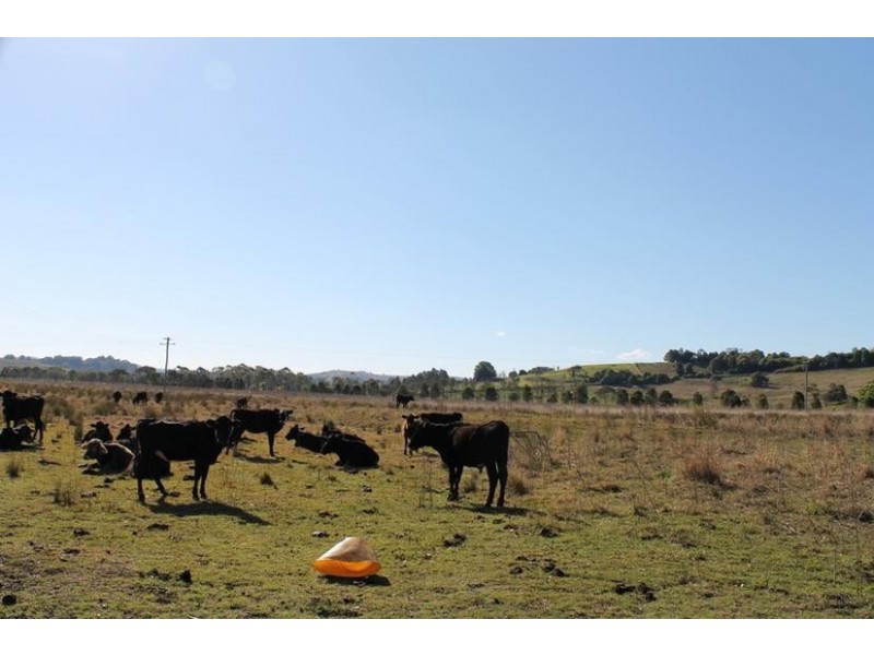 367 Boatharbour Road, Boat Harbour NSW 2484