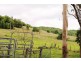 117 Hewitt Road, Booerie Creek NSW 2480