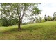117 Hewitt Road, Booerie Creek NSW 2480