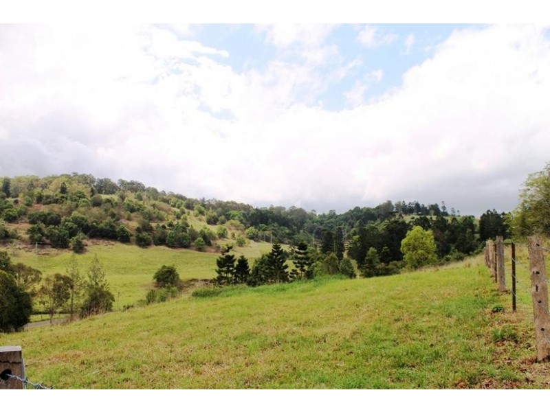 117 Hewitt Road, Booerie Creek NSW 2480