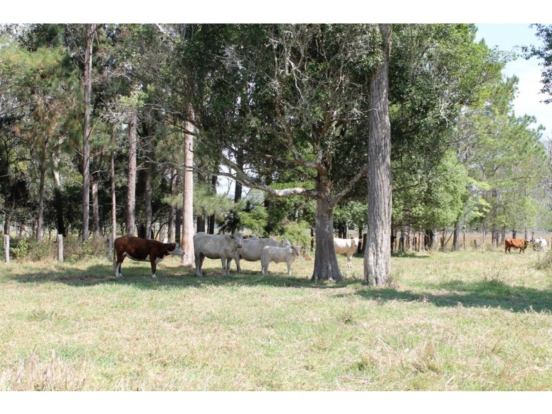 384 Bangalow Road, Lagoon Grass NSW 2480