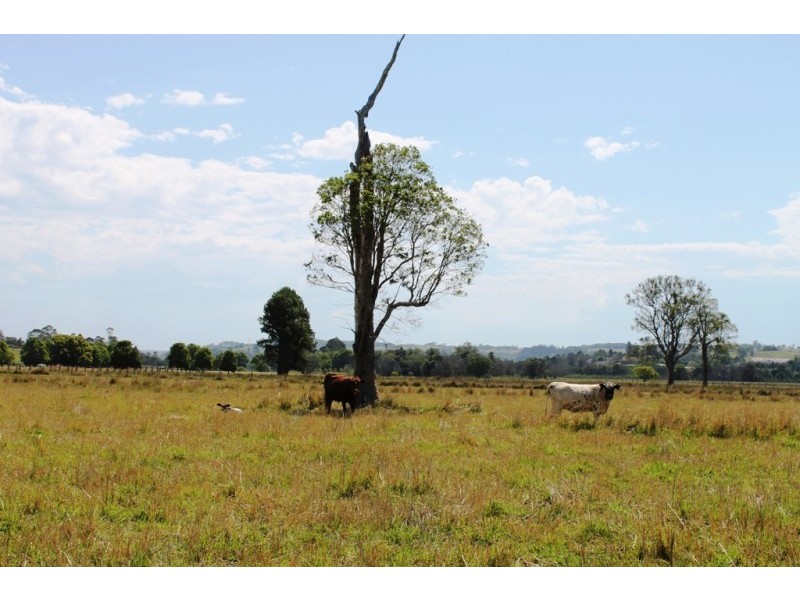 384 Bangalow Road, Lagoon Grass NSW 2480