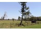 424 Bangalow Road, Lagoon Grass NSW 2480
