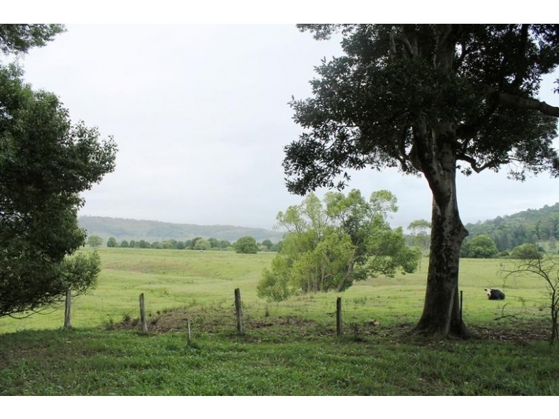 935 Keerrong Road, Keerrong NSW 2480
