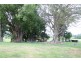 935 Keerrong Road, Keerrong NSW 2480