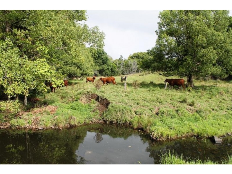 648 Wyrallah Road, Monaltrie NSW 2480