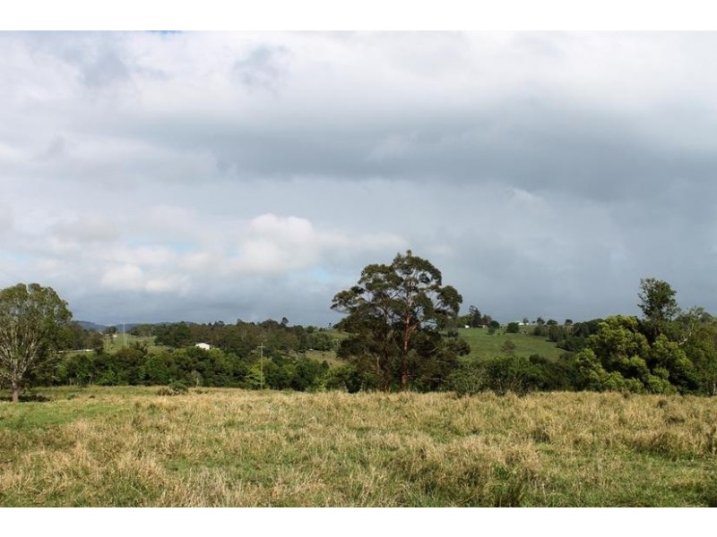 648 Wyrallah Road, Monaltrie NSW 2480