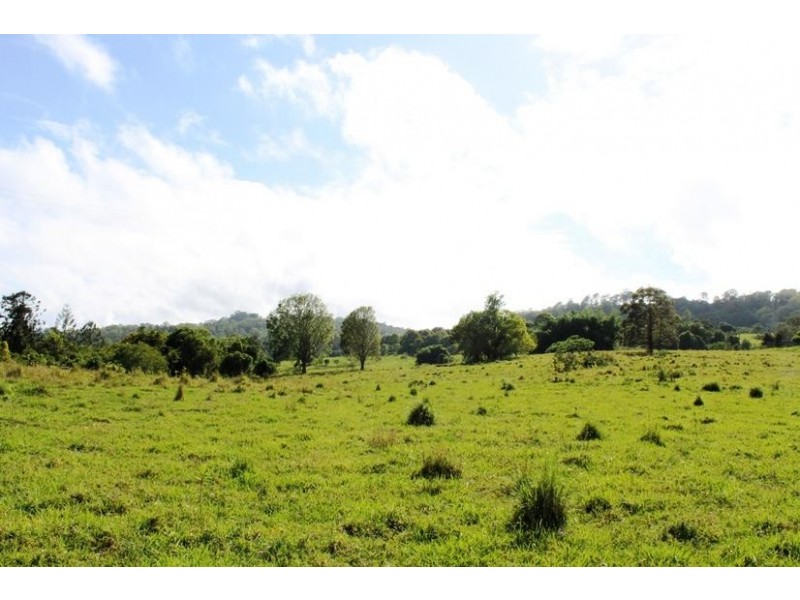 648 Wyrallah Road, Monaltrie NSW 2480