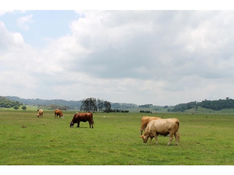 84 Northcott Road, South Gundurimba NSW 2480