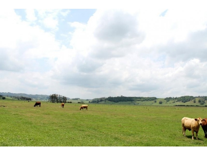 84 Northcott Road, South Gundurimba NSW 2480