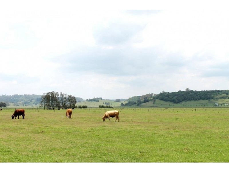 84 Northcott Road, South Gundurimba NSW 2480