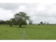 990 Wyrallah Road, Wyrallah NSW 2480