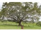 990 Wyrallah Road, Wyrallah NSW 2480