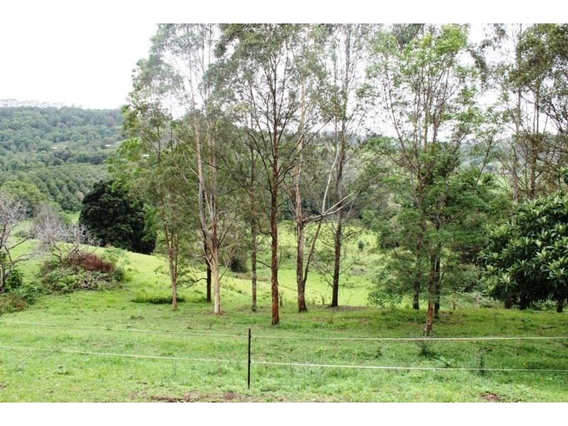 59 Towns Road, Terania Creek NSW 2480