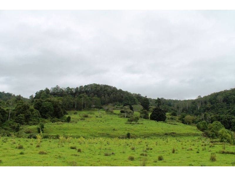 59 Towns Road, Terania Creek NSW 2480