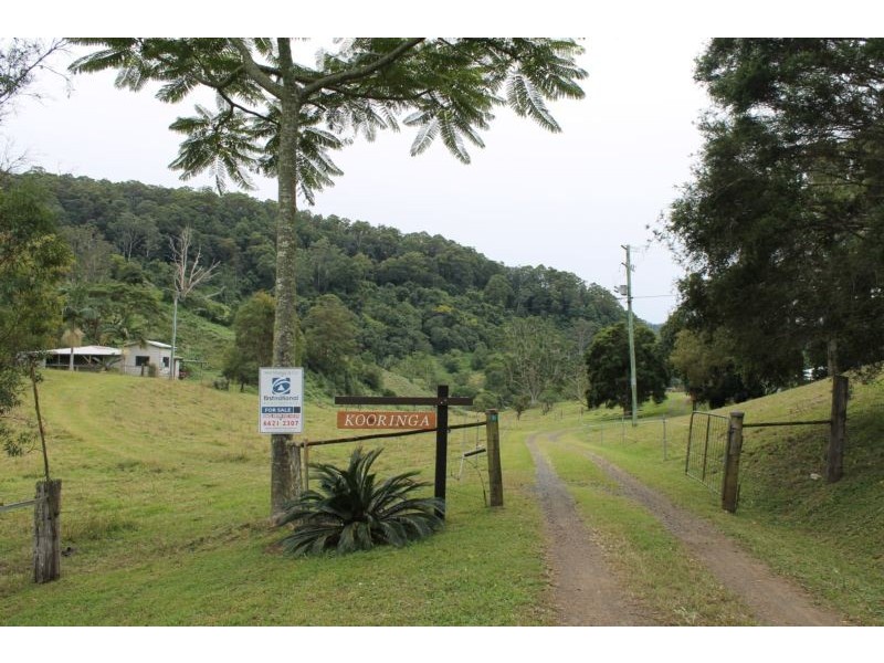 59 Towns Road, Terania Creek NSW 2480