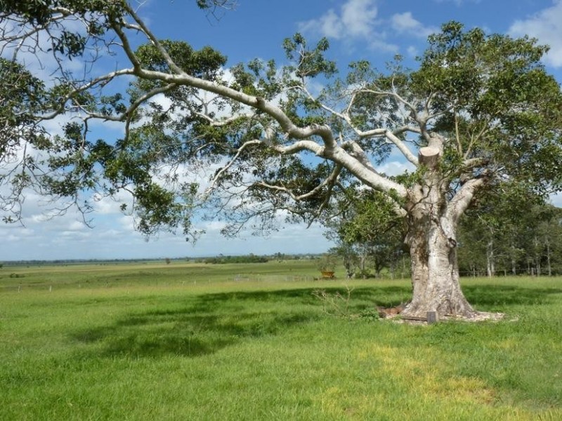 829 Rogerson Road, Mckees Hill NSW 2480