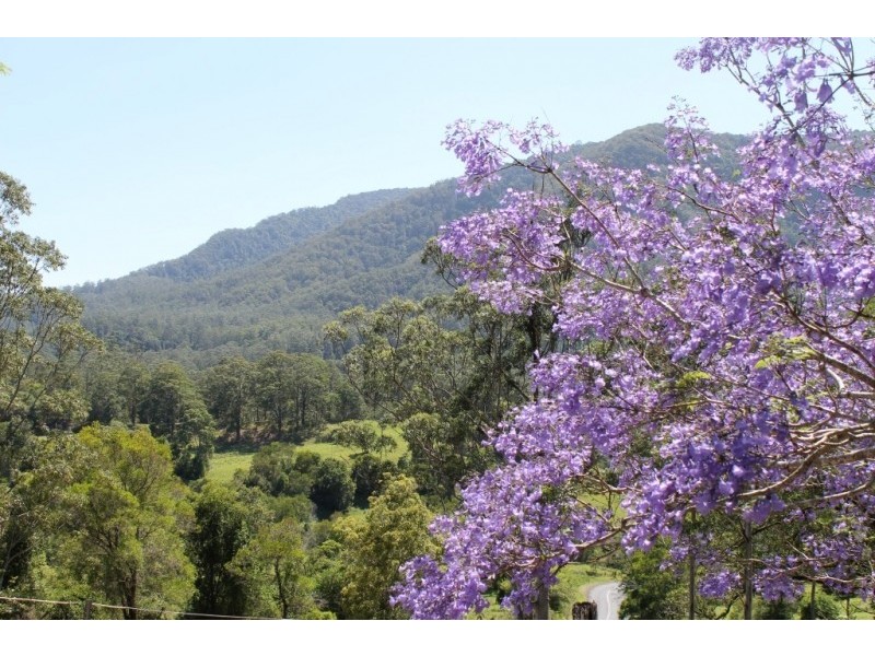 573 Blue Knob Road, Blue Knob NSW 2480