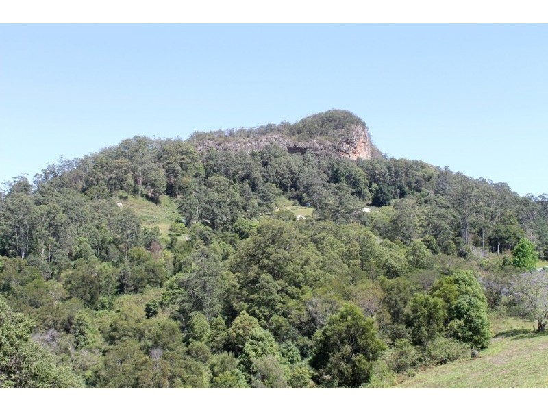 573 Blue Knob Road, Blue Knob NSW 2480