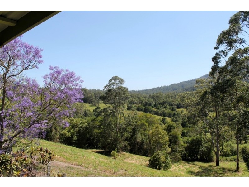 573 Blue Knob Road, Blue Knob NSW 2480