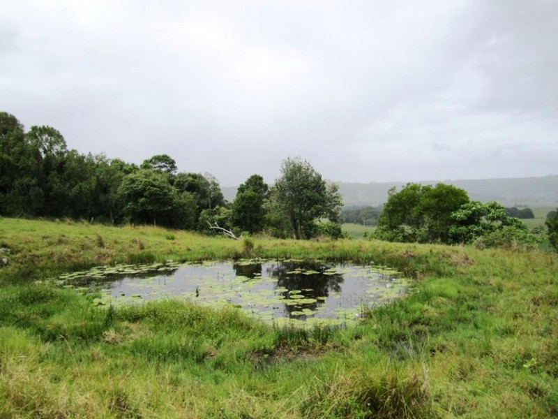 40 Gollan Road, Marom Creek NSW 2480