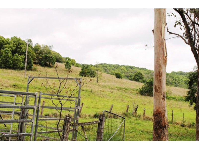 117 Hewitt Road, Booerie Creek NSW 2480