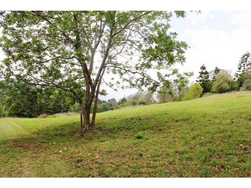 117 Hewitt Road, Booerie Creek NSW 2480