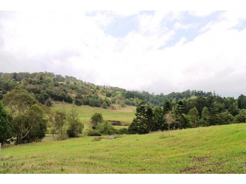 117 Hewitt Road, Booerie Creek NSW 2480