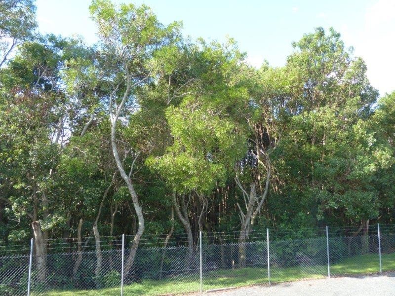 37 Lancaster Drive, Goonellabah NSW 2480