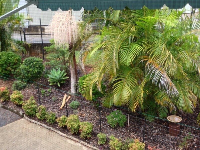 37 Lancaster Drive, Goonellabah NSW 2480