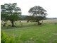 214 Nimbin Road, Lismore NSW 2480