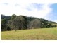 78 Tulsi Lane, Nimbin NSW 2480