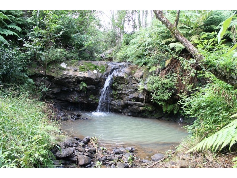 78 Tulsi Lane, Nimbin NSW 2480