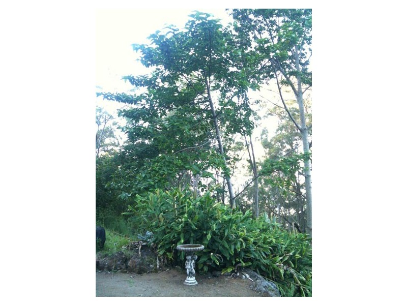 * Mulvena Road, Larnook NSW 2480