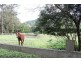 2210 Nimbin Road, Coffee Camp NSW 2480
