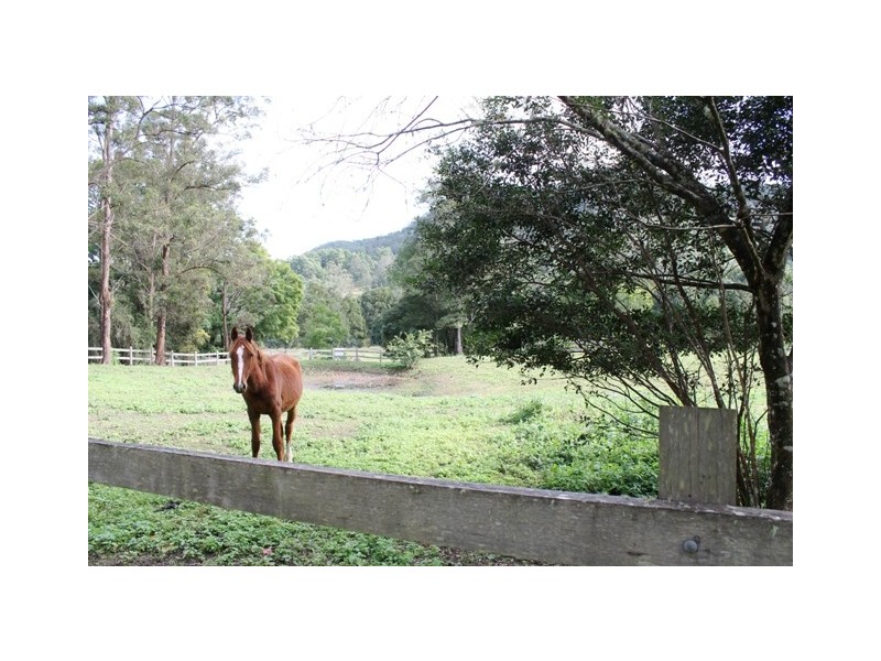 2210 Nimbin Road, Coffee Camp NSW 2480