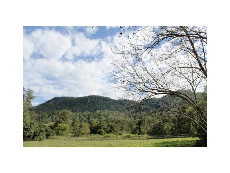 2210 Nimbin Road, Coffee Camp NSW 2480