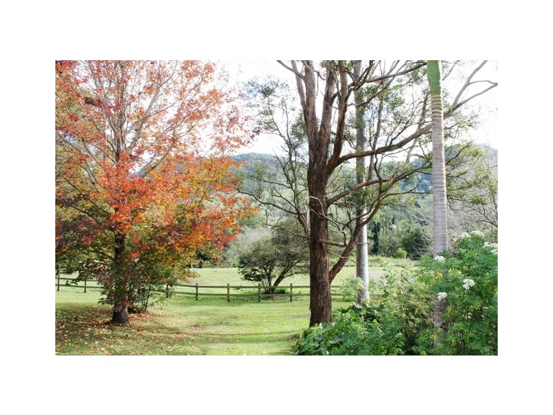 2210 Nimbin Road, Coffee Camp NSW 2480