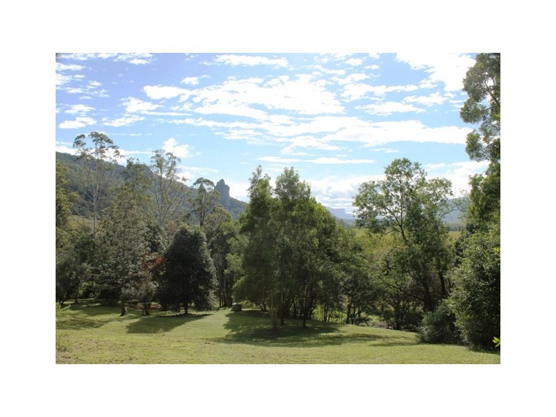 2210 Nimbin Road, Coffee Camp NSW 2480