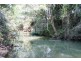 2210 Nimbin Road, Coffee Camp NSW 2480